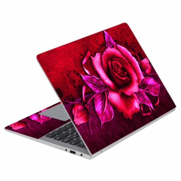 L 23 Laptop Skins