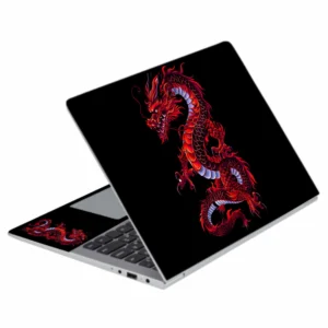 L 114 Laptop Skins