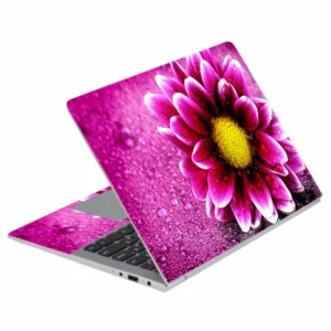 L 61 Laptop Skins