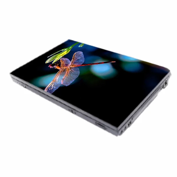 L 80 F Laptop Skins