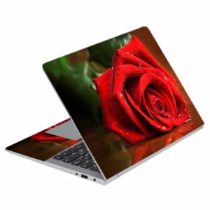 L 81 Laptop Skins