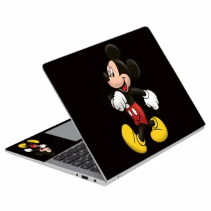 L 147 Laptop Skins