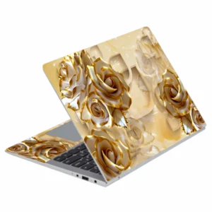 L 171 Laptop Skins