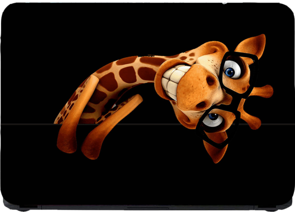 L 145 Laptop Skins (5)