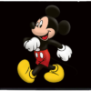 L 147 Laptop Skins (5)
