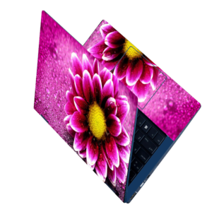 L 61 Laptop Skins (1)