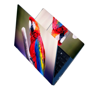 L 62 Laptop Skins (1)