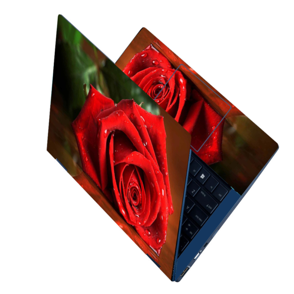 L 81 Laptop Skins (1)