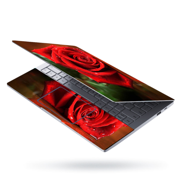L 81 Laptop Skins (2)