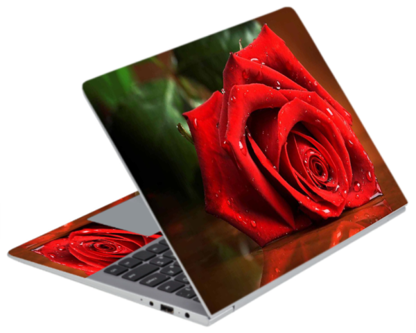 L 81 Laptop Skins (4)