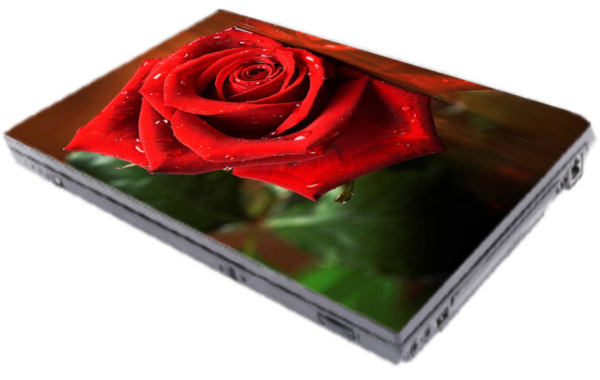 L 81 Laptop Skins (6)